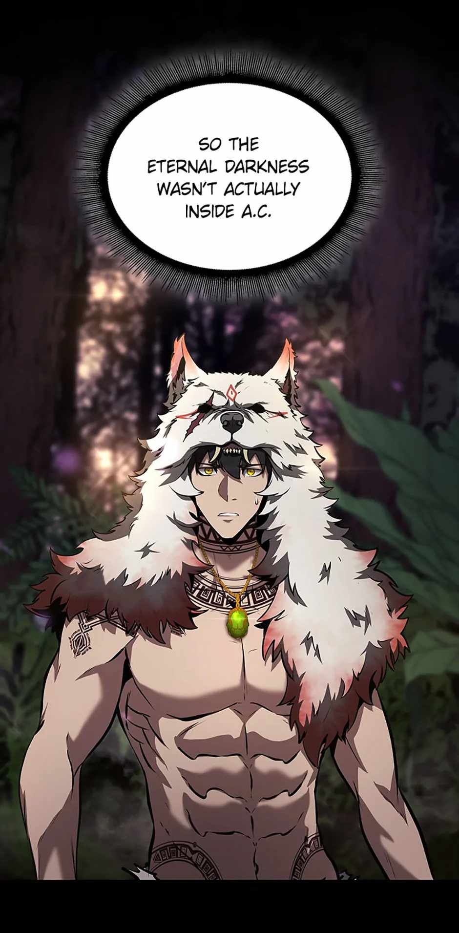 I Returned as an FFF-Class Witch Doctor Chapter 111 64